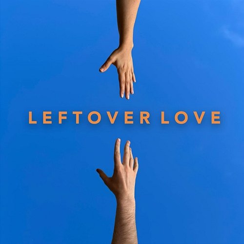 Leftover Love Picture This