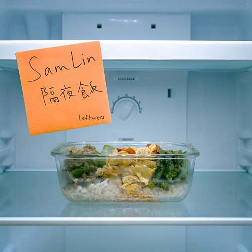 Leftovers Sam Lin