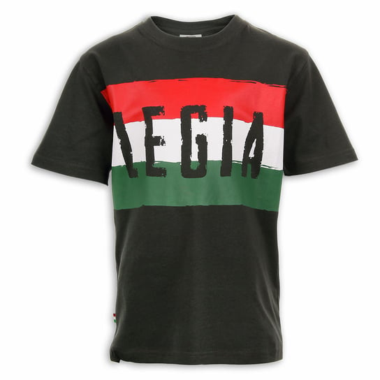 Legia, T-shirt chłopięcy, Barwy klubu, rozmiar 140 LEGIA