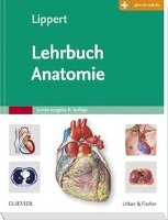 Lehrbuch Anatomie Lippert Herbert