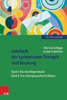 Lehrbuch der systemischen Therapie und Beratung 1 und 2 Schlippe Arist, Schweitzer Jochen