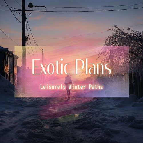 Leisurely Winter Paths Exotic Plans