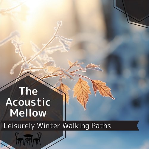 Leisurely Winter Walking Paths The Acoustic Mellow