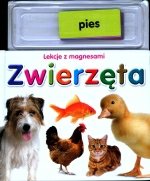 Lekcje z magnesami. Zwierzęta Opracowanie zbiorowe