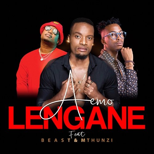 Lengane Aemo feat. Beast, Mthunzi