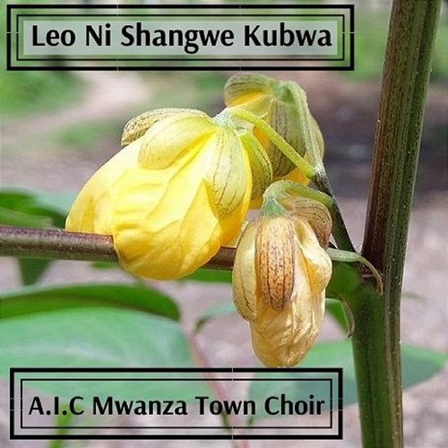 Leo Ni Shangwe Kubwa A.I.C Mwanza Town Choir