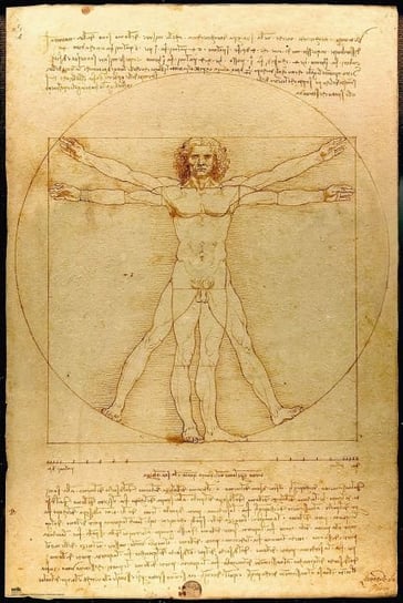 Leonardo da Vinci Człowiek witruwiański - plakat Grupo Erik