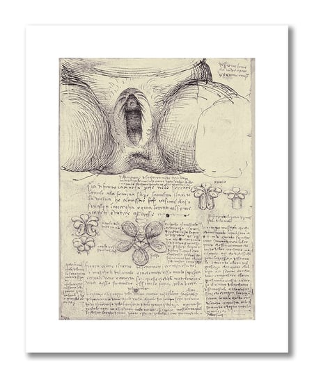 Leonardo da Vinci, plakat szkic anatomiczny 03 Plakaty medyczne DEKORAMA