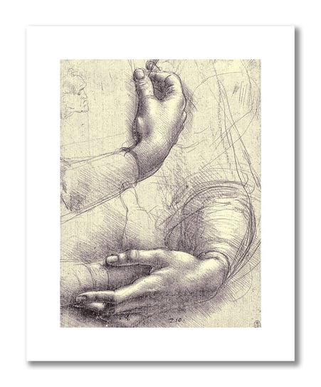 Leonardo da Vinci, plakat szkic anatomiczny 12 Plakaty medyczne DEKORAMA