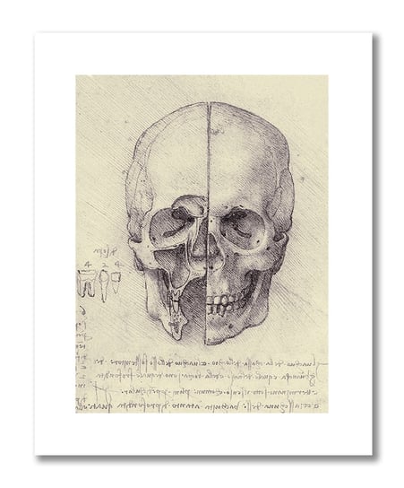 Leonardo da Vinci, plakat szkic anatomiczny 20 Plakaty medyczne DEKORAMA