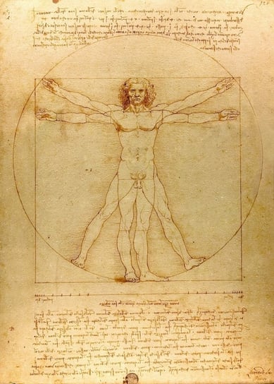 LEONARDO DA VINCI Vitruvian Man 40x50cm #462 KMB PRESS