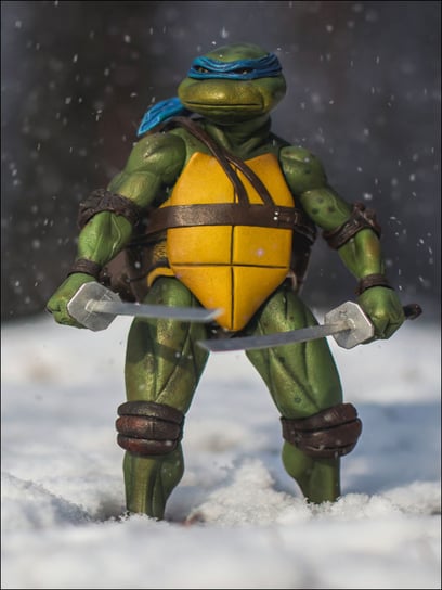 Leonardo, Wojownicze Żółwie Ninja - plakat 50x70 c / AAALOE Inna marka