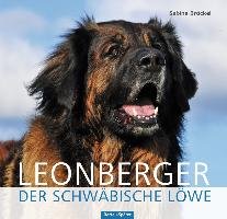 Leonberger Brockel Sabine