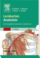 Lernkarten Anatomie Gratzke Christian, Weusten Axel, Tischer Thomas, Burklein Dominik