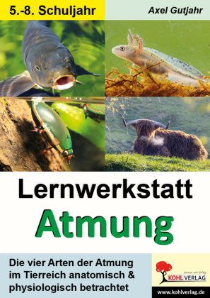 Lernwerkstatt Atmung / Band 1 (Klasse 5-8) KOHL VERLAG Der Verlag mit dem Baum
