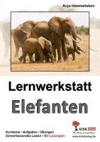 Lernwerkstatt Elefanten Hammelstein Anja