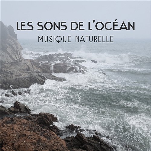 Les sons de l'océan - Musique naturelle pour se détendre, Raisons pour se méditation, Trouvez votre chemin Océan Ambience Club