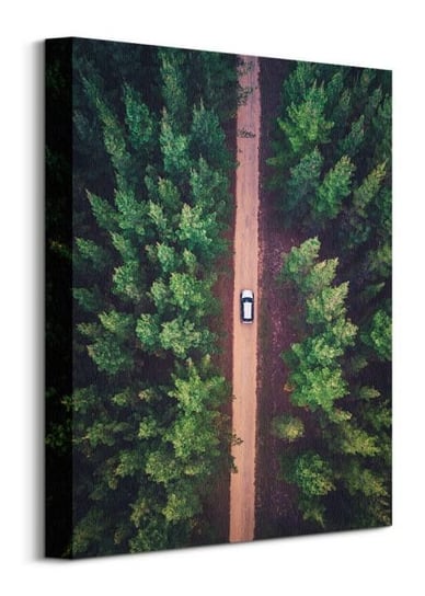 Leśna Droga - Obraz na płótnie Nice Wall