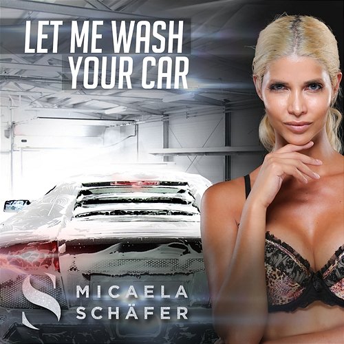 Let Me Wash Your Car Micaela Schäfer
