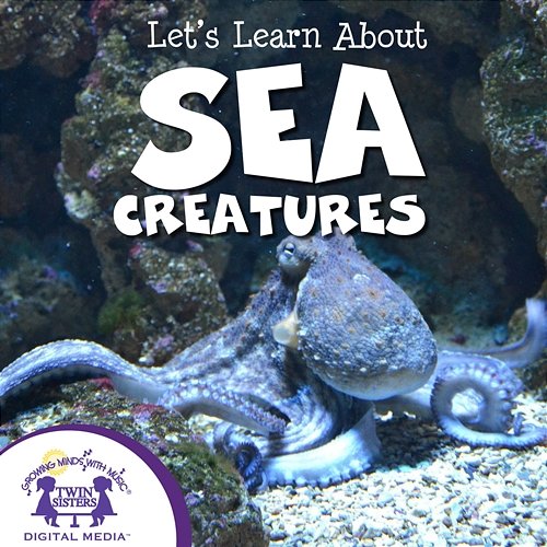Let's Learn About Sea Creatures Nashville Kids' Sound, Kim Mitzo Thompson