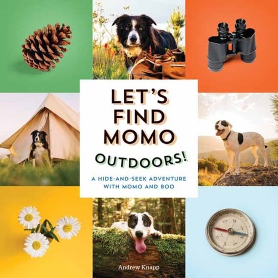 Lets Find Momo Outdoors! A Hide and Seek Adventure with Momo and Boo Knapp Andrew