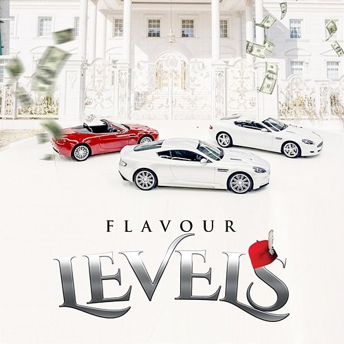 Levels Flavour