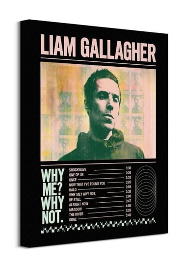 Liam Gallagher Tracklist - obraz na płótnie Pyramid International