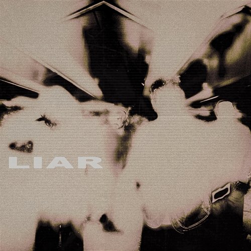 Liar In Color