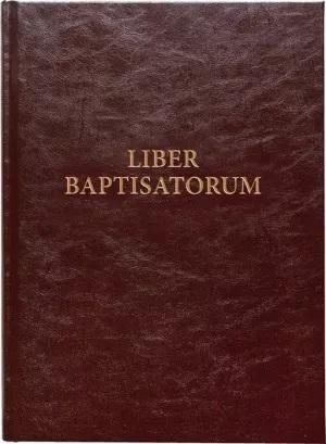 Liber baptisatorum Opracowanie zbiorowe