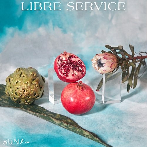 Libre Service Suna