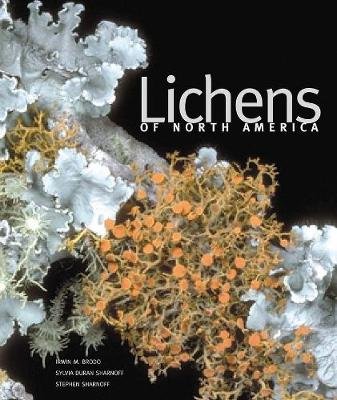 Lichens of North America Brodo Irwin M., Sharnoff Sylvia Duran, Sharnoff Steven