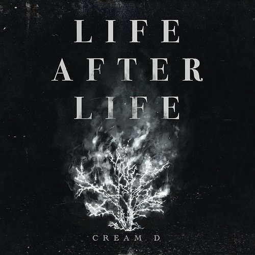 LIFE AFTER LIFE Cream D