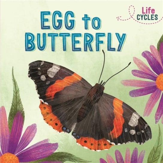 Life Cycles: Egg to Butterfly Rachel Tonkin