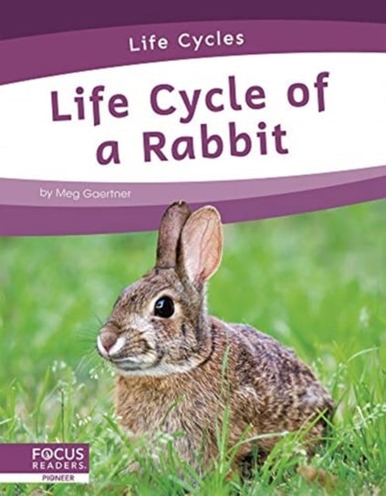 Life Cycles: Life Cycle of a Rabbit Meg Gaertner