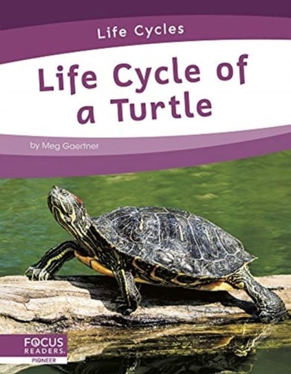 Life Cycles: Life Cycle of a Turtle Meg Gaertner