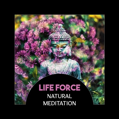 Life Force: Natural Meditation – Total Relaxing, Anxiety Free Life, Deep Hypnosis, Luqid Spirit of Mind, Buddha Treatments Various Artists