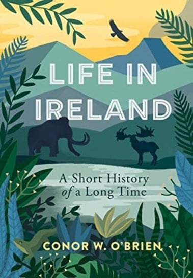 Life in Ireland: A Short History of a Long Time Conor O'Brien