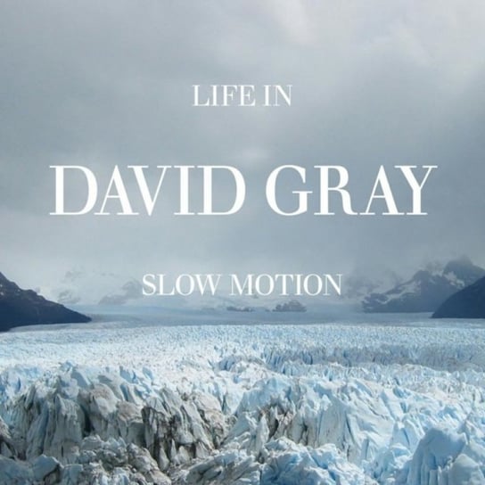 Life In Slow Motion Gray David