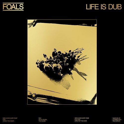 Life Is Dub Foals