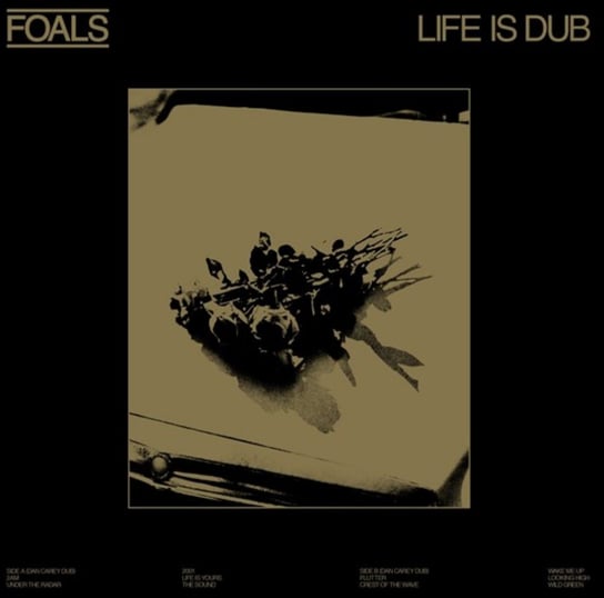 Life is Dub, płyta winylowa Foals