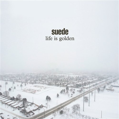 Life is Golden Suede