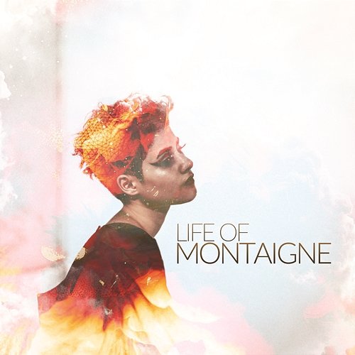 Life of Montaigne Montaigne