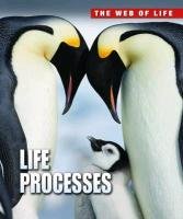 Life Processes Solway Andrew, Claybourne Anna