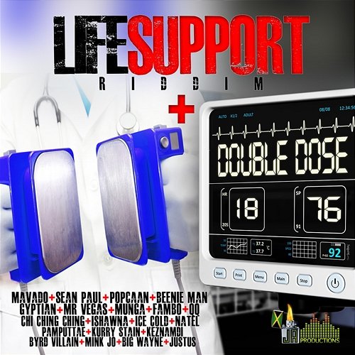 Life Support Riddim Double Dose Various Artists