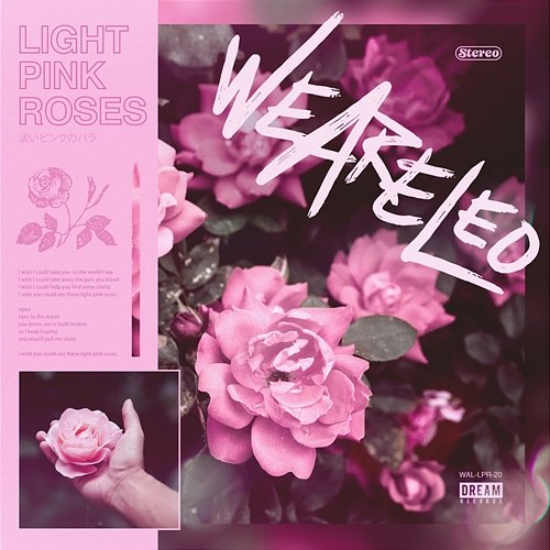 Light Pink Roses We Are Leo