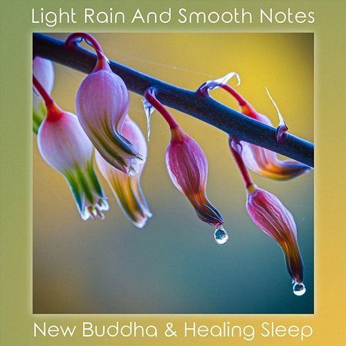 Light Rain and Smooth Notes Healing Sleep, New Buddha