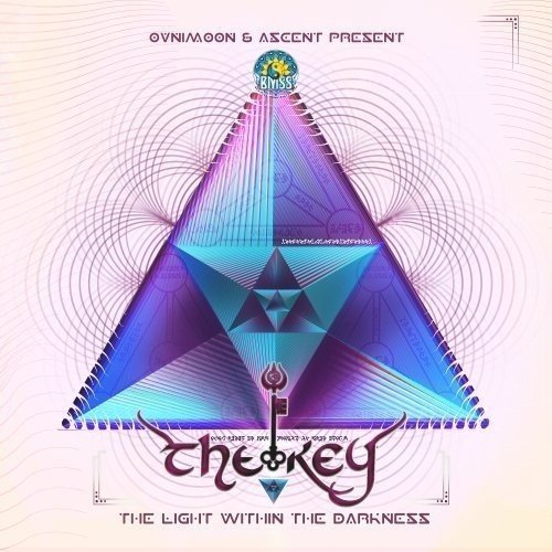 Light Within The Darkness Various Artists