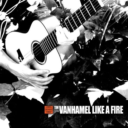 Like A Fire Tim Vanhamel