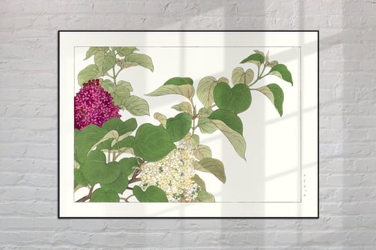 Lilak Syringa Plakat Japonia Grafika Vintage 30x40 cm (A3) / DodoPrint Dodoprint