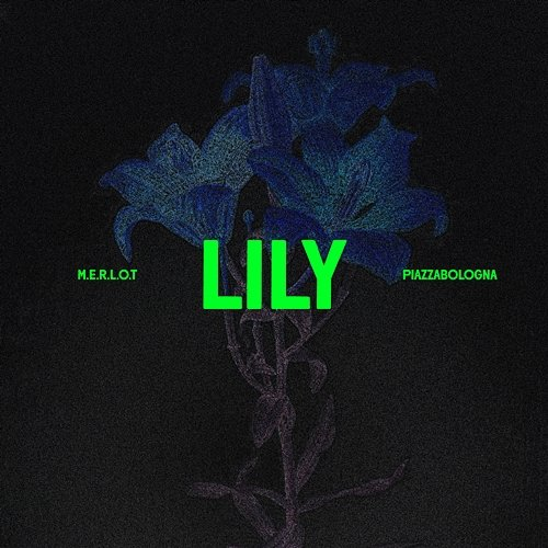 Lily M.E.R.L.O.T & piazzabologna